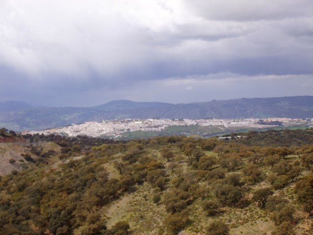 300 ronda
